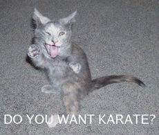 Karate!!!